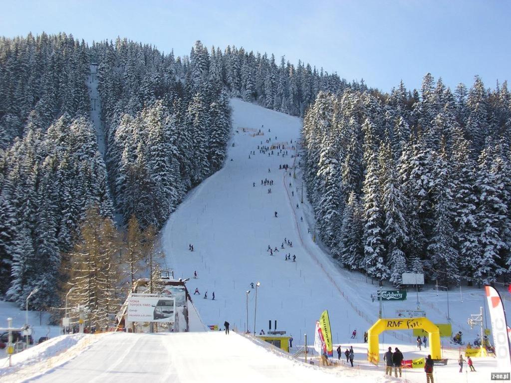 Apartment Visitzakopane - Pod Swierkami Zakopane